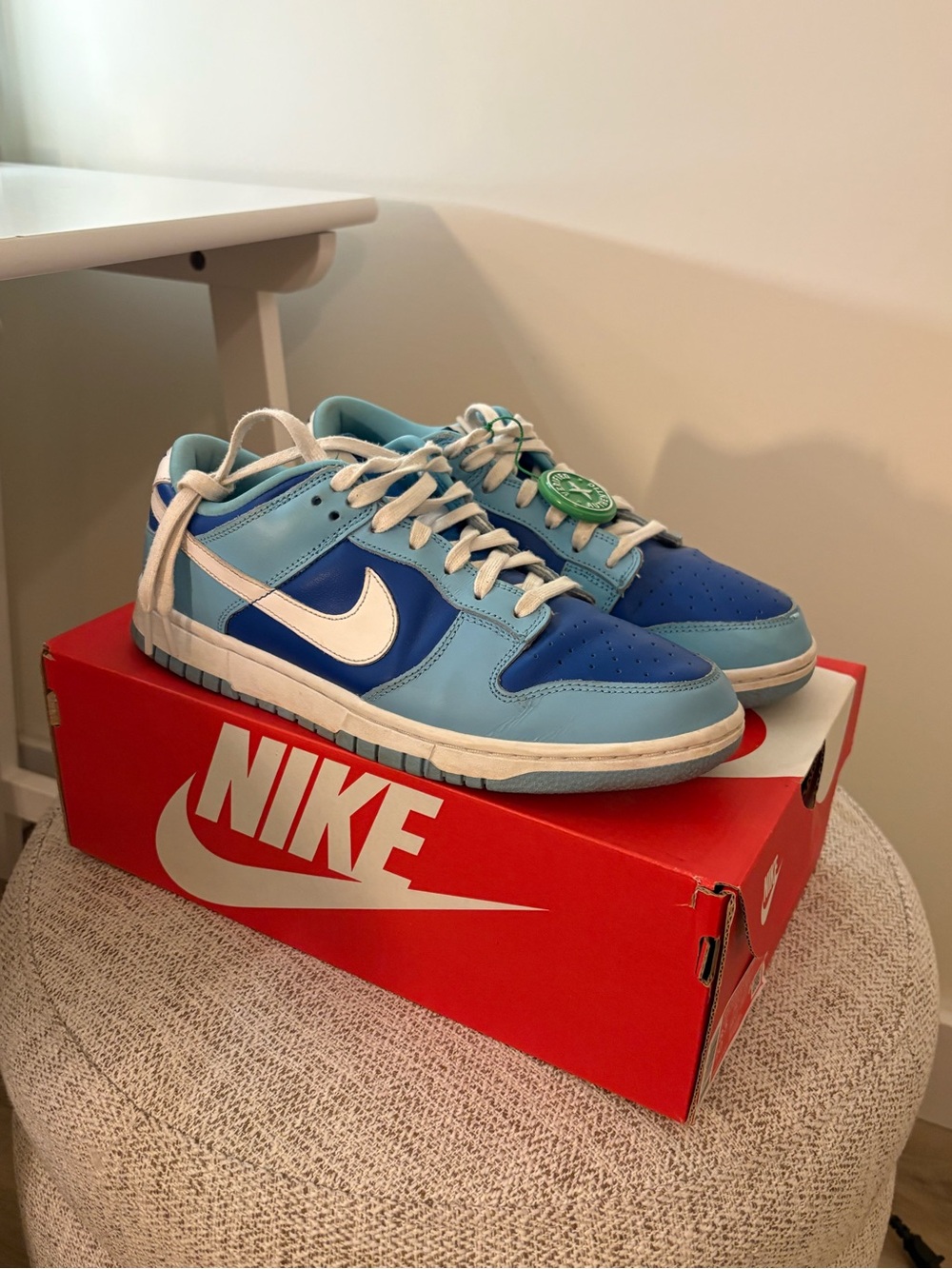 Authentic Blue Nike Dunks